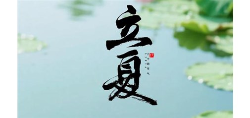立夏 | 万物并秀，春意未觉，夏日已至